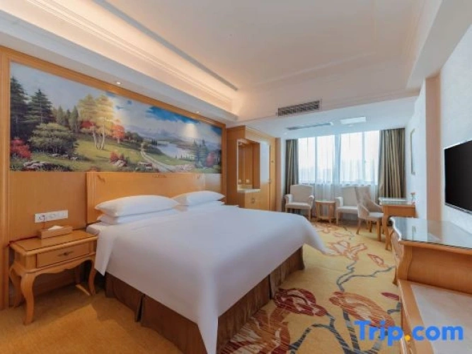 1 Bedroom Deluxe Suite