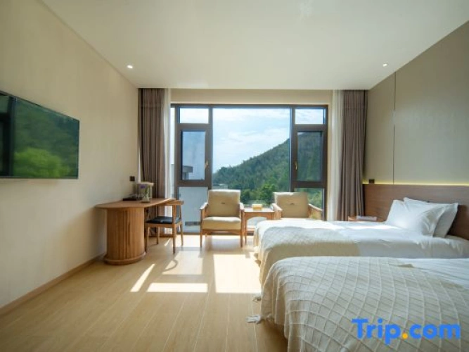 Luxury Twin room with mountain view