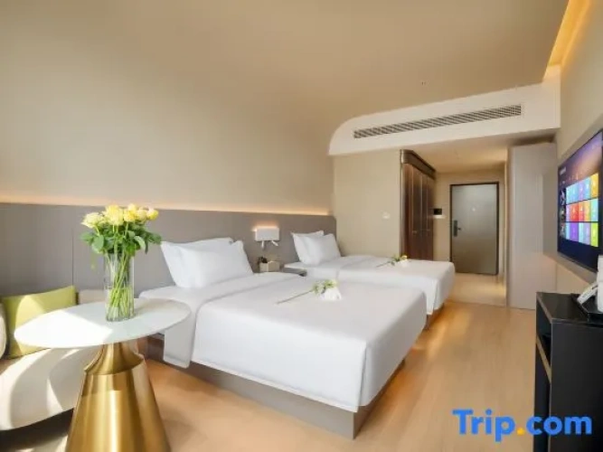 Standard Double room with city view