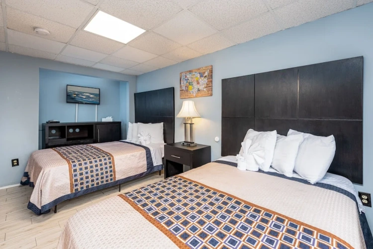 1 Bedroom Premier Apartment