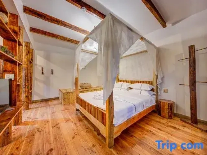 1 Bedroom Suite with view