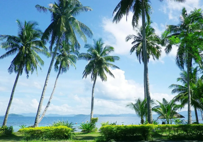 Blue Cove Island Resort