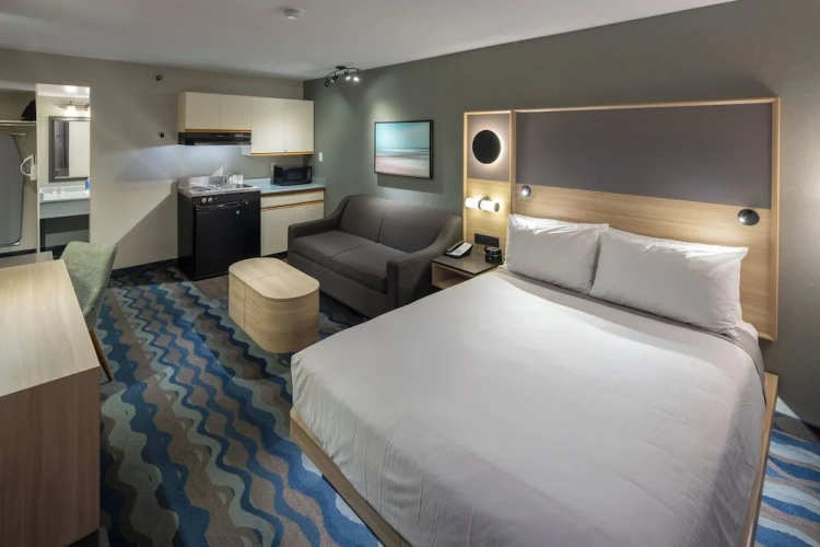 1 Bedroom Suite