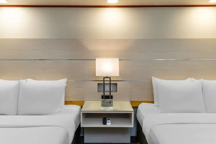Quadruple Suite