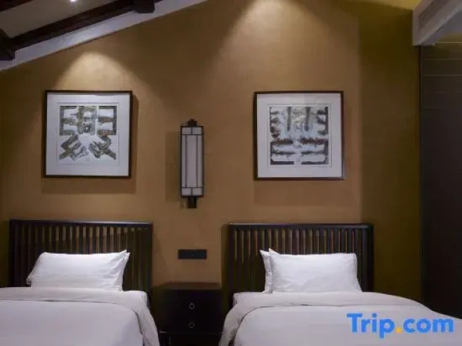 Twin Suite