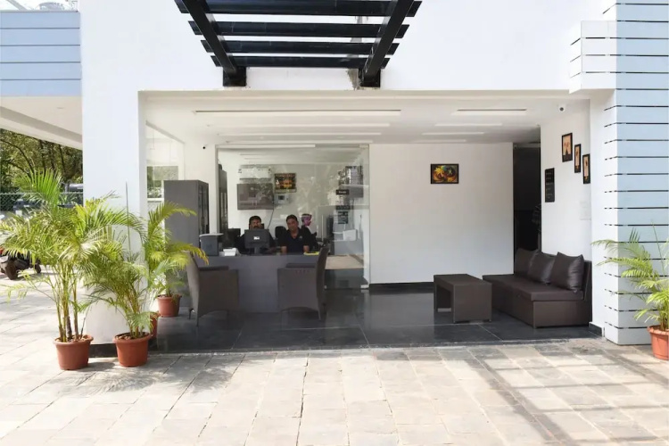 Treehouse Alchemy Creek Goa