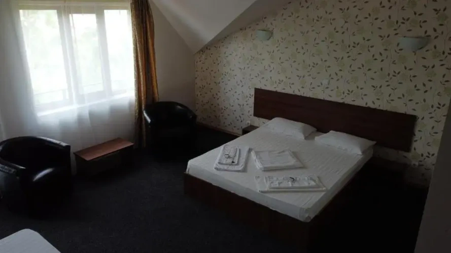 Standard Double room with balcony and with view
