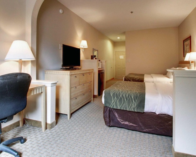 Quadruple Suite