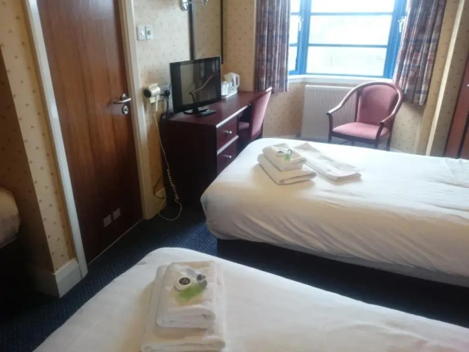 Standard Twin room with garden view