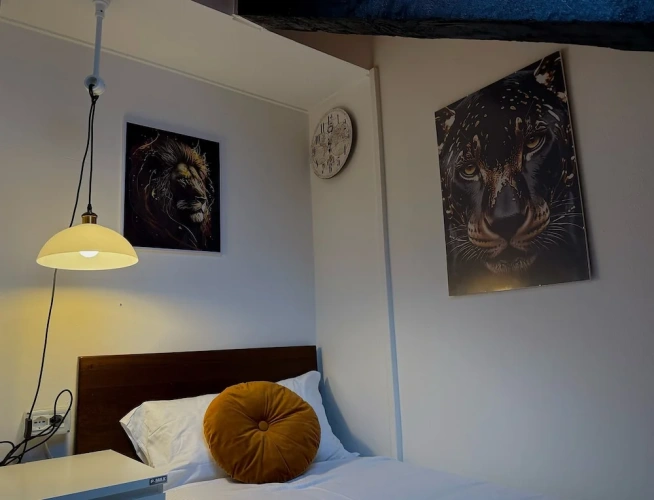Business Apartment