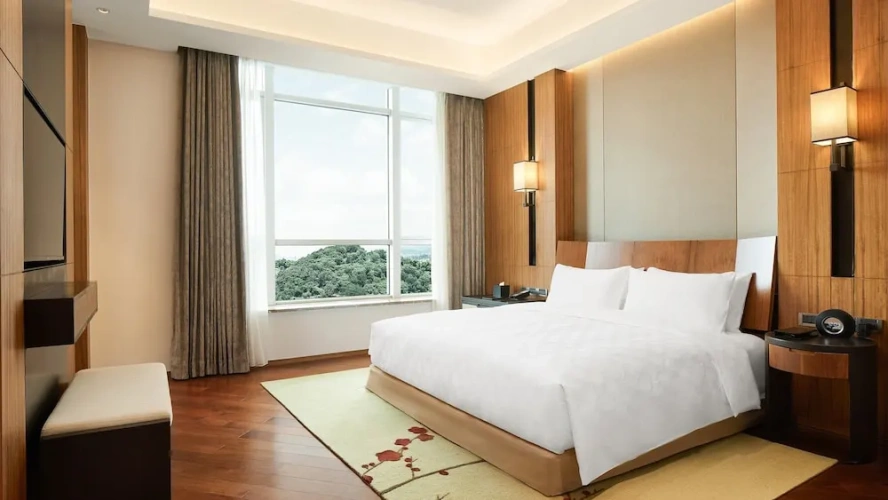 Ambassador Double Club Suite