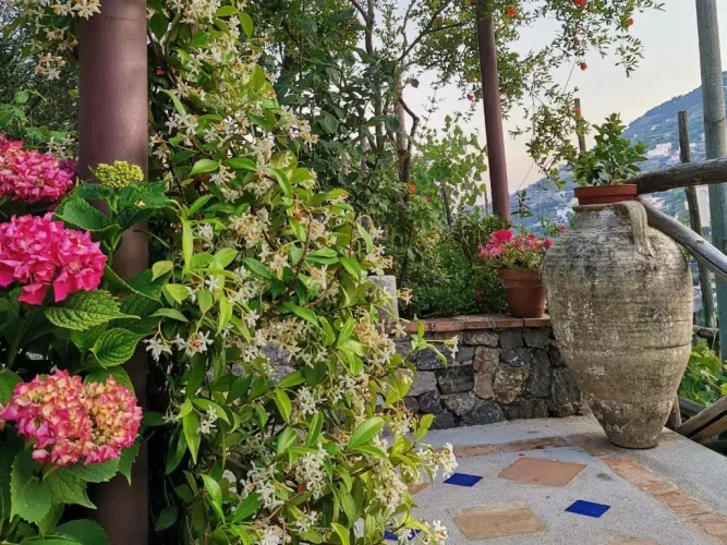 Standard Double room with garden view