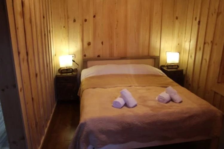 Comfort Double room with mountain view