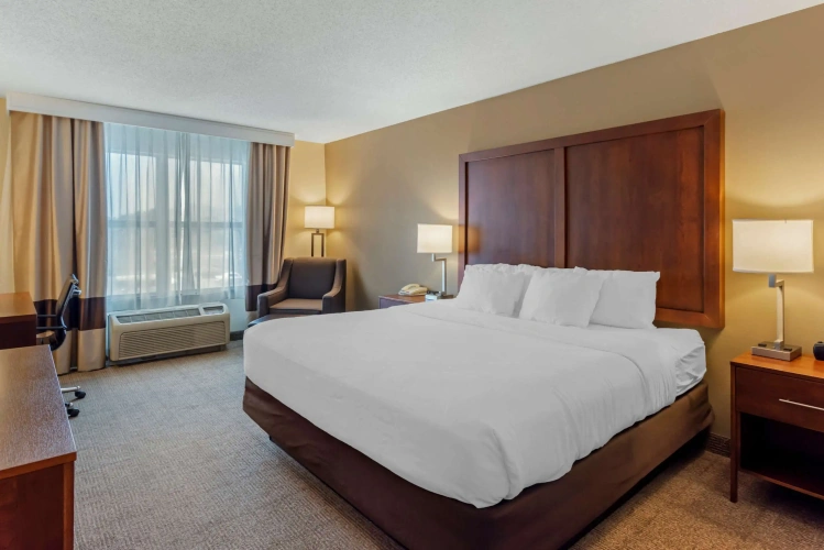 Standard Double room