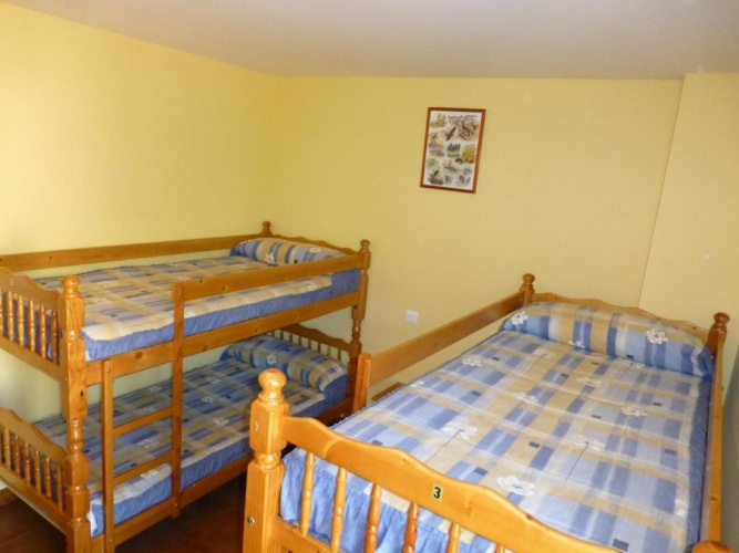 Bed in Dorm