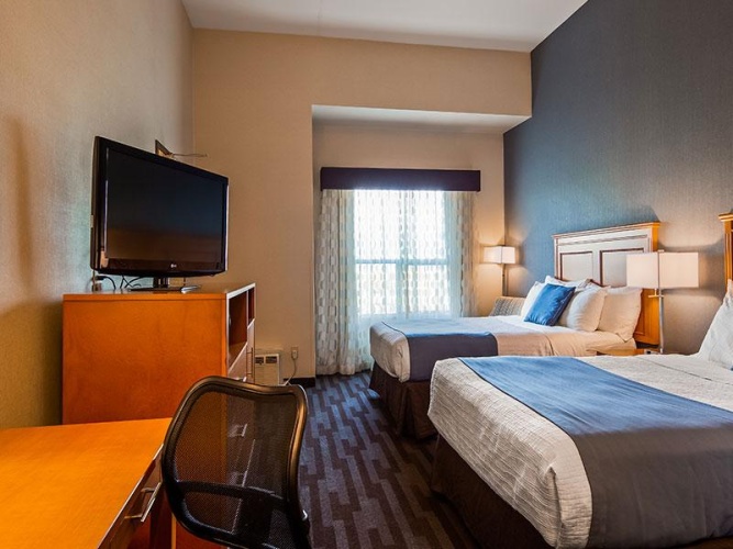 Standard Double Basement room