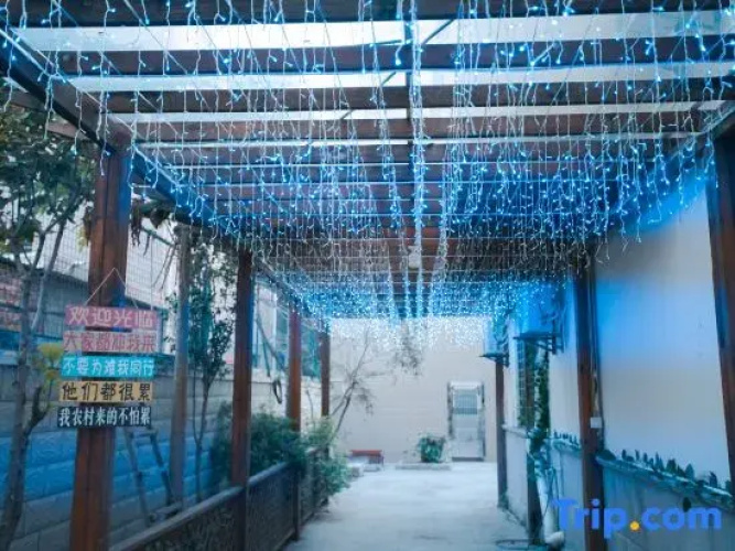 Xinyu Homestay