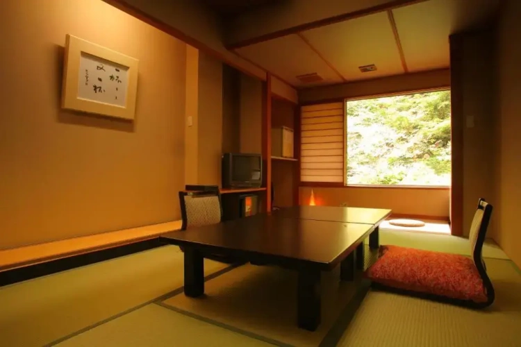 Standard room with view