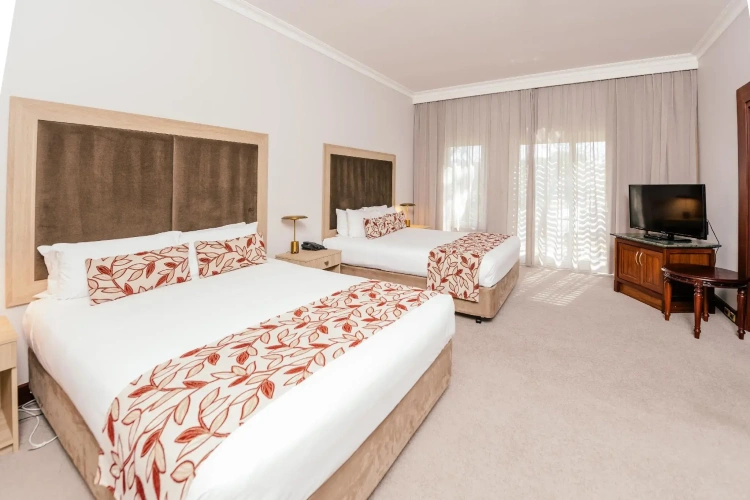 Twin Suite