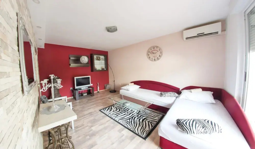 Studio Apartment Zebra