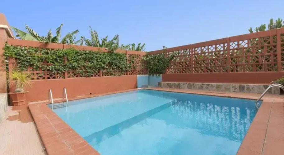 El Patio de Maite