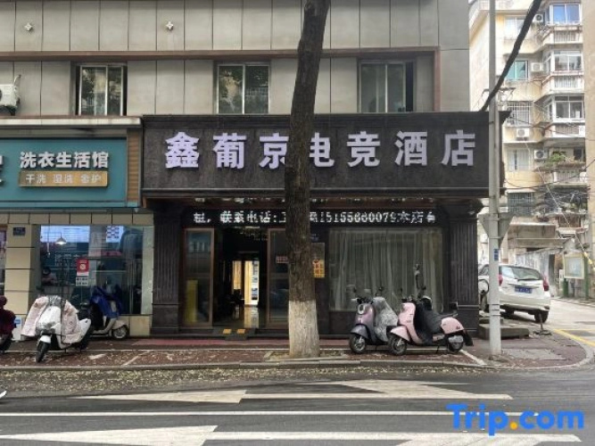 PuJing Theme Hotel