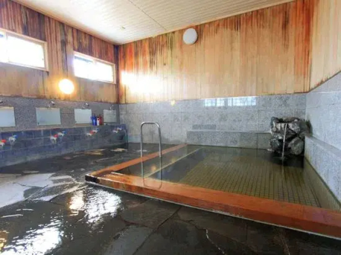 Hotsprings Inn Shoen