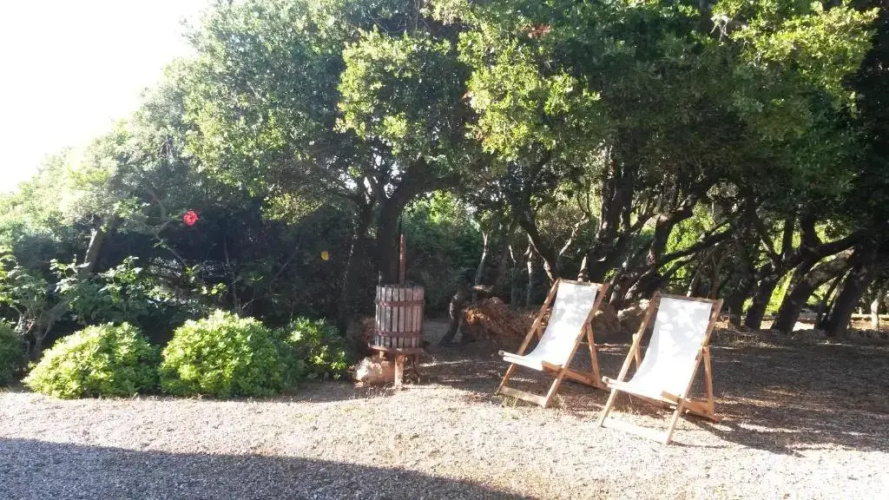 Villa Feia