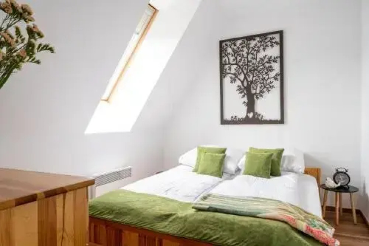 Apartament Alex