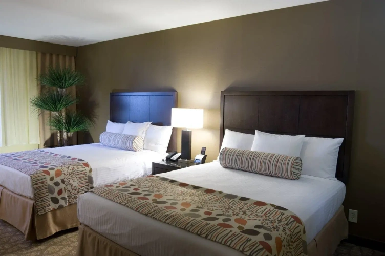 Standard Double room