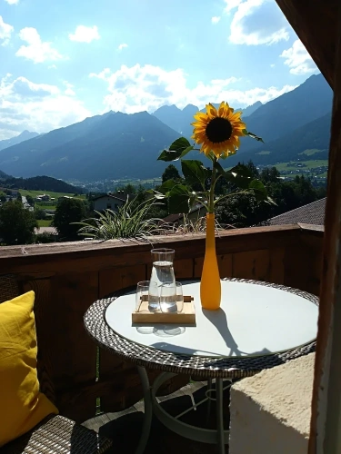 Standard Double room with balcony and with mountain view