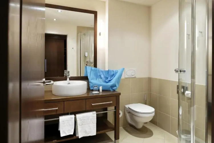 Superior Single room with balcony and with view