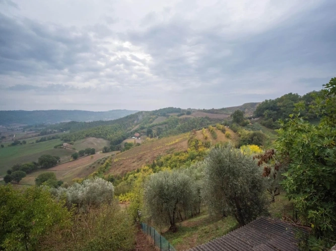 Single Villa