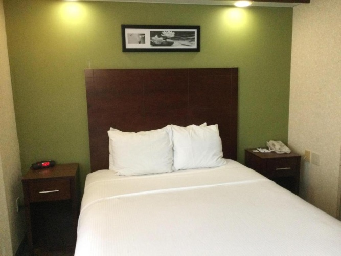 Double Studio Suite