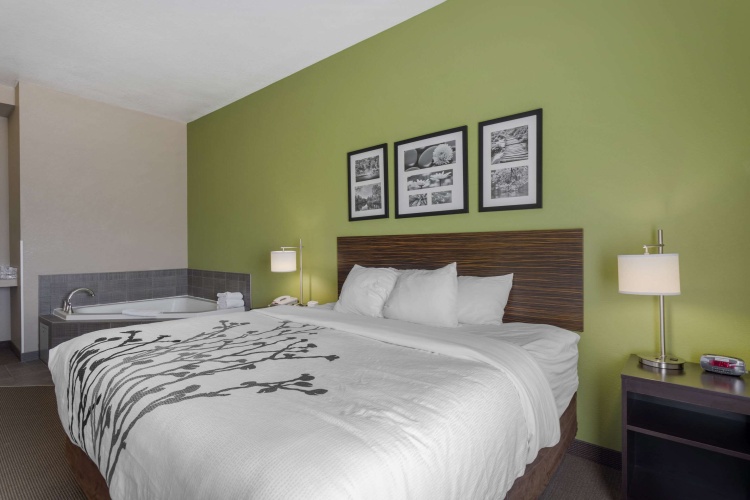 Standard Double room