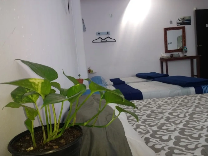 Bed in Dorm