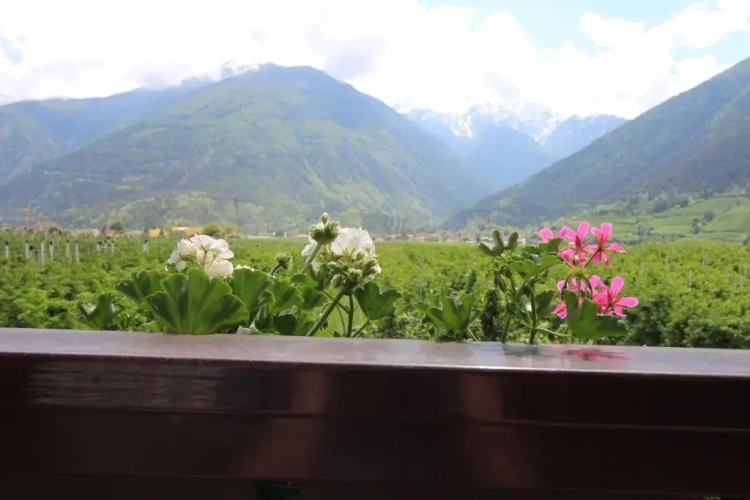 1 Bedroom Apartment with mountain view
