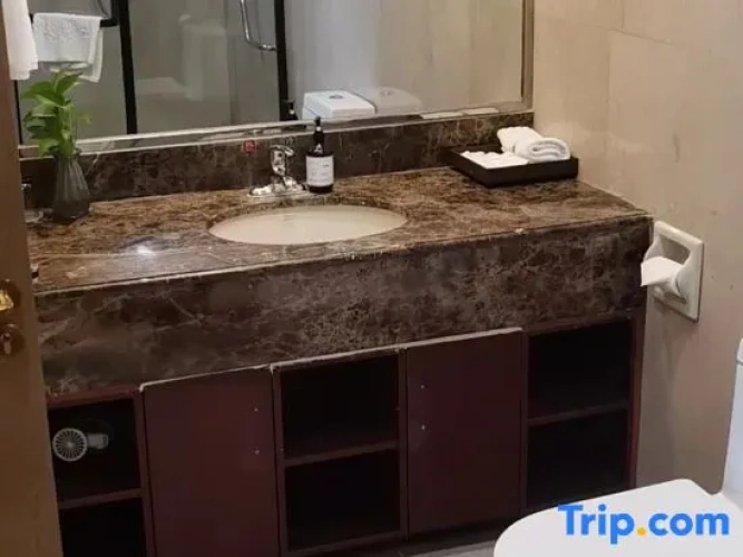 Business Double Suite