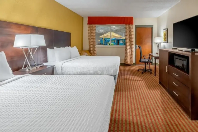 Standard Double room with pool view
