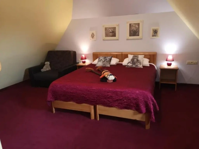 Standard Double room with garden view