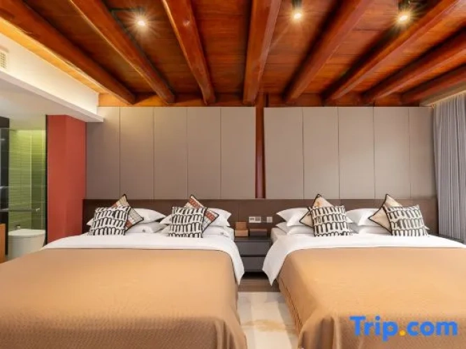 Deluxe Twin room with view
