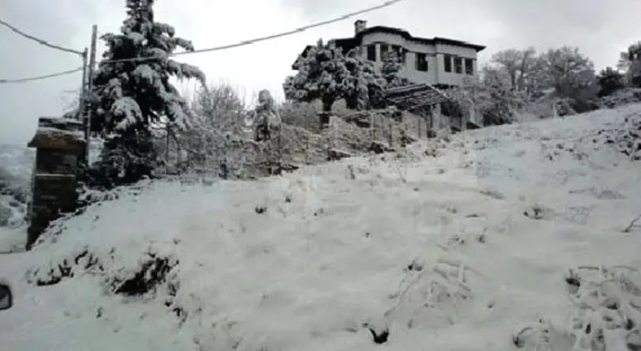 Guesthouse Theasis