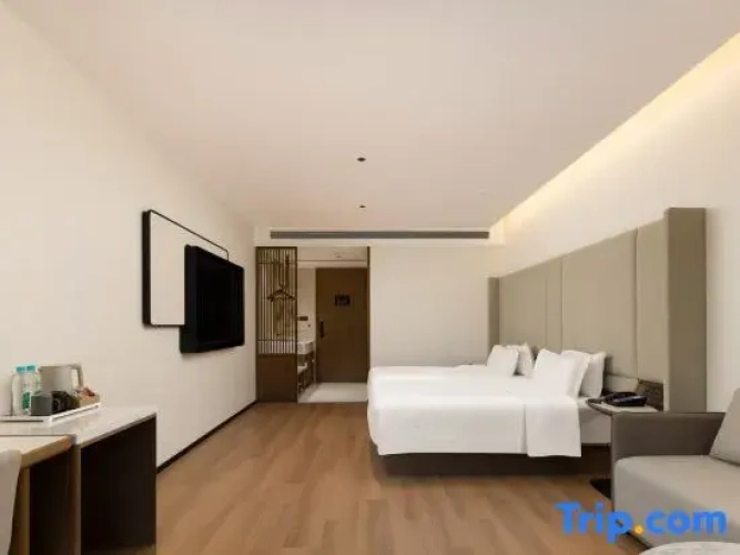Executive Twin room