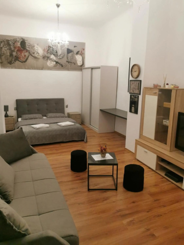 Central Designer Flat