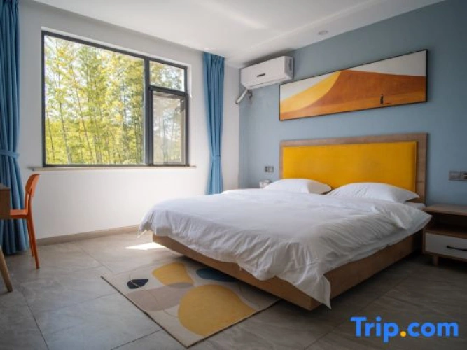 Standard Double room with lake view