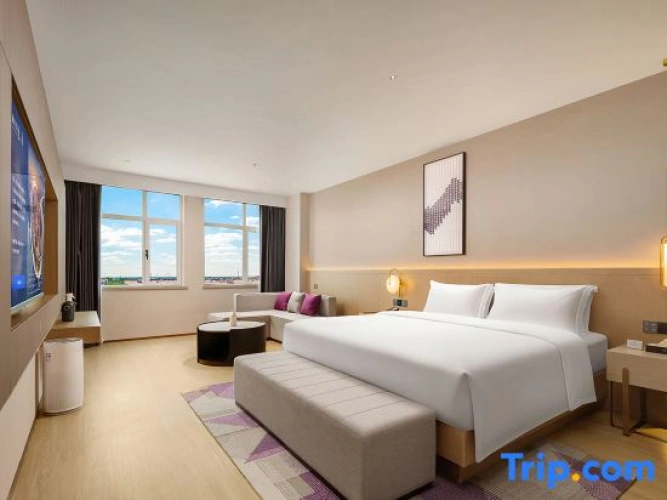 Standard Suite