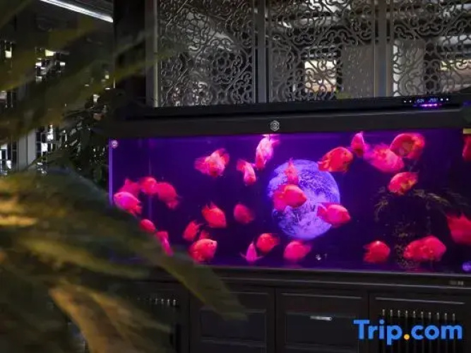 Cloud Villa | Scenic Designer Hotel by Ancient Wall (Huayan Temple, Datong)