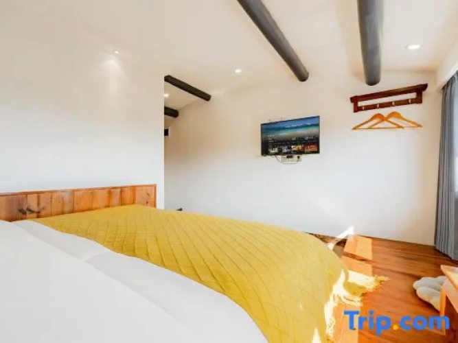 Double Apartment