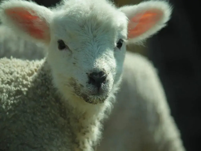 Point Farm B&BOver view