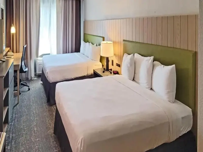 Guest rooms